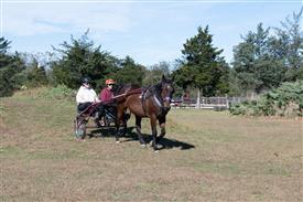 LR-WRF 10182025 Retreat-6515